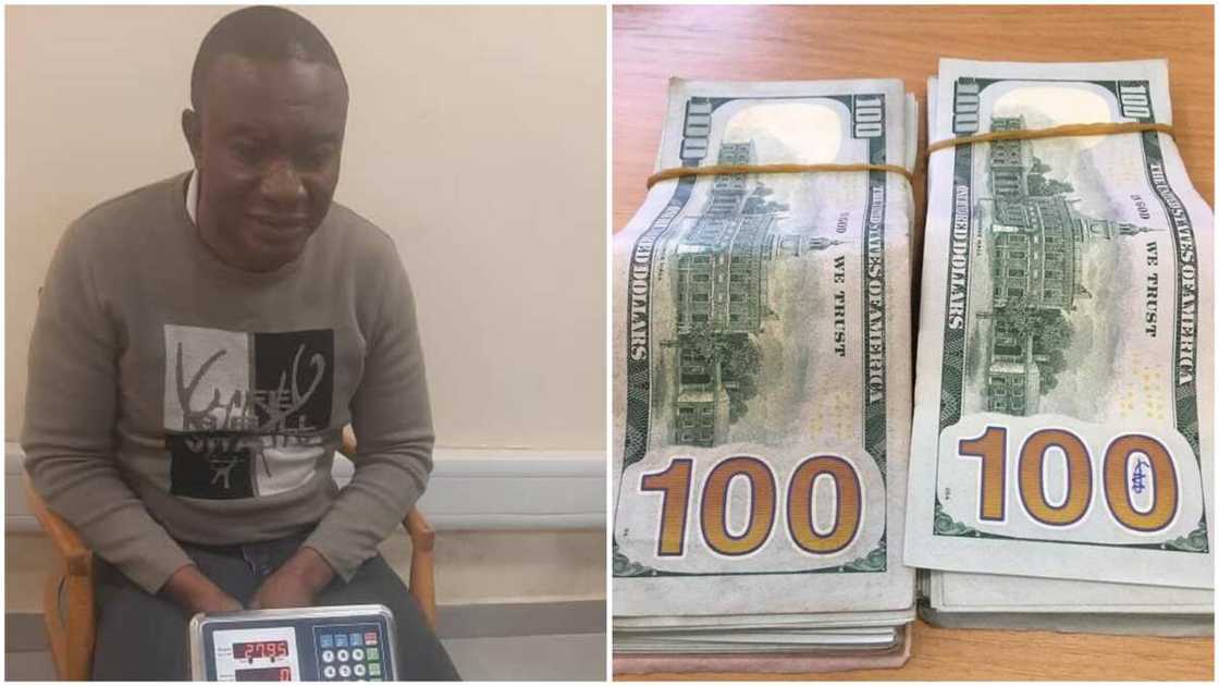 NDLEA Arrests Prominent Nigerian with N8bn Cocaine, Seizes $24,500 He Offered as Bribe NDLEA Arrests Prominent Nigerian with N8bn Cocaine, Seizes $24,500 He Offered as Bribe