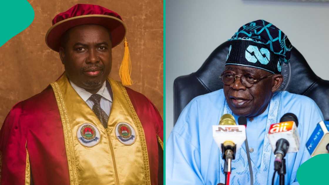 Joash Amupitan outlines the full list of Council of State members empowered to guide INEC appointments under Nigerian law. Joash Amupitan outlines the full list of Council of State members empowered to guide INEC appointments under Nigerian law.
