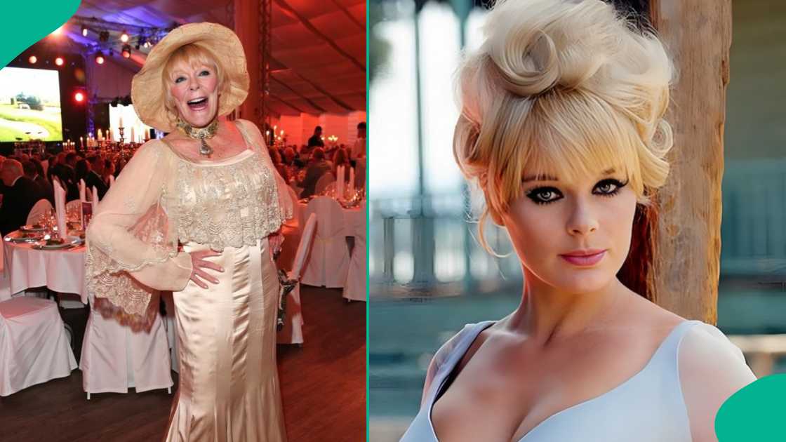 Elke Sommer, Hollywood, actreess