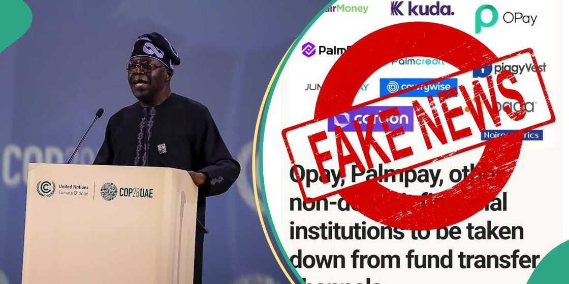 Opay/Palmpay/Moniepoint/Bola Tinubu/Fadar Shugaban Kasa