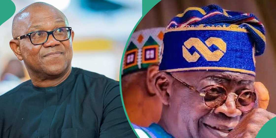 Bola Tinubu, APC, PDP, Labour Party, tribunal, 2023 election