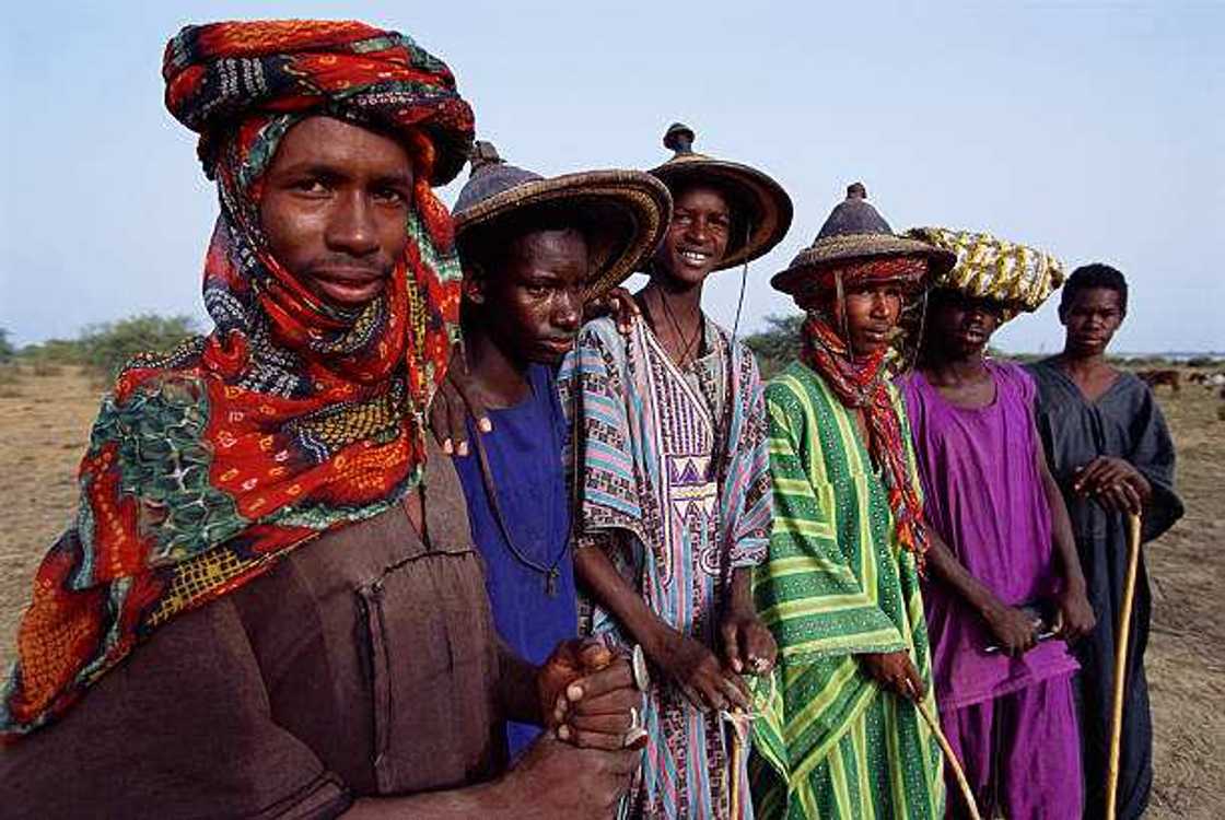 Shugabannin Fulani Shugabannin Fulani