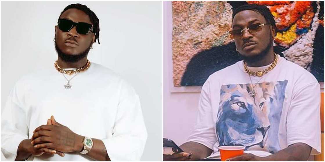 Peruzzi Peruzzi
