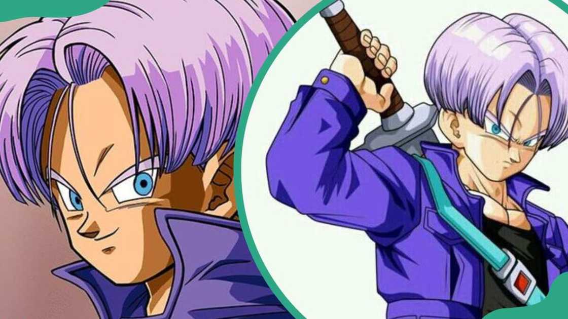 Trunks from Dragon Ball Trunks from Dragon Ball