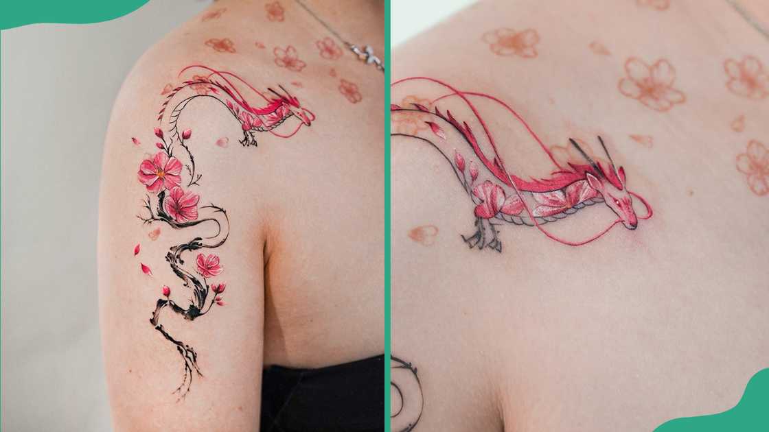 Cherry Blossom and Haku Cherry Blossom and Haku