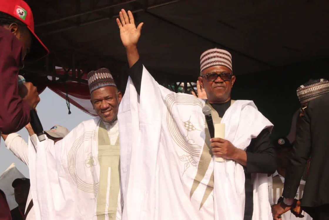 Peter Obi Kano, Atiky Abubakar, Bola Tinubu, PDP, APC, 2023 presidential election Peter Obi Kano, Atiky Abubakar, Bola Tinubu, PDP, APC, 2023 presidential election