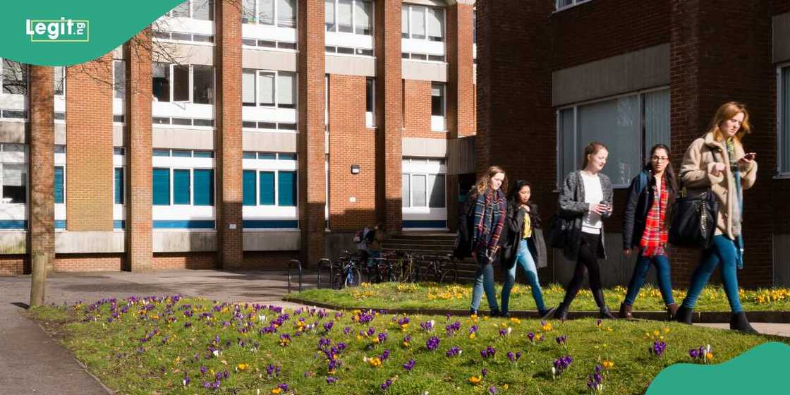 2024 Ranking: List of top 20 best universities in the World 2024 Ranking: List of top 20 best universities in the World