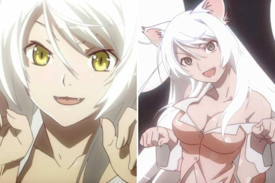 Anime characters with long white hair Anime characters with long white hair