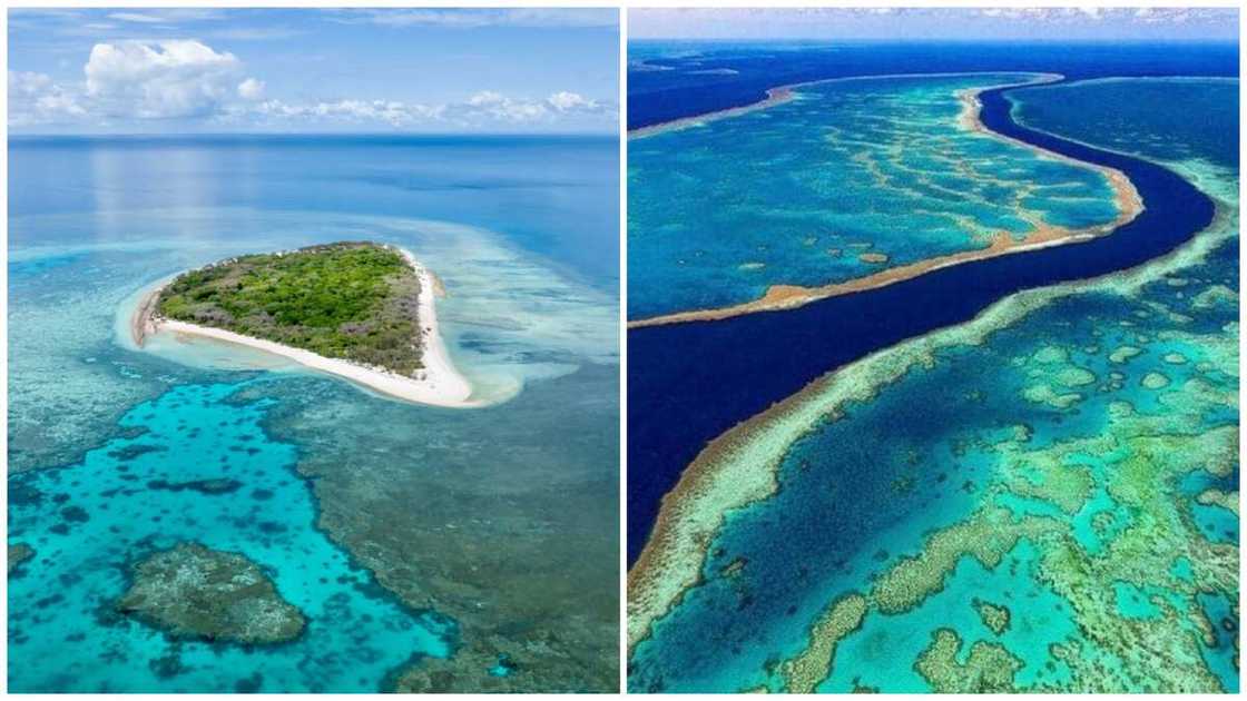 things that are large things that are large