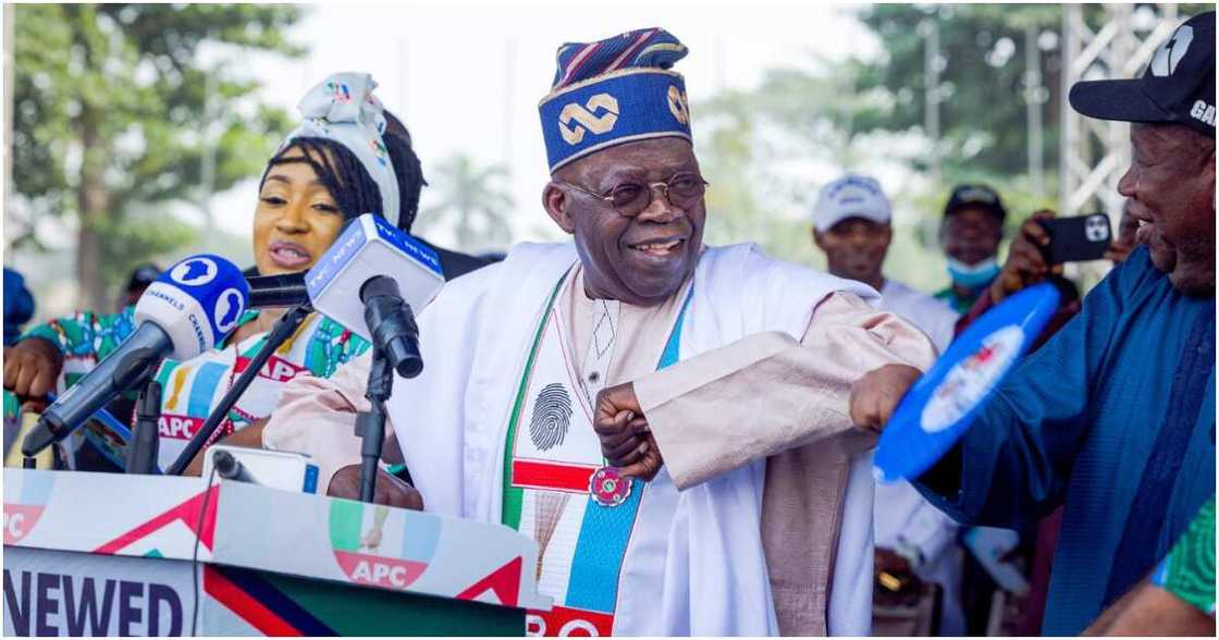 Asiwaju Bola Tinubu yana budawa Asiwaju Bola Tinubu yana budawa