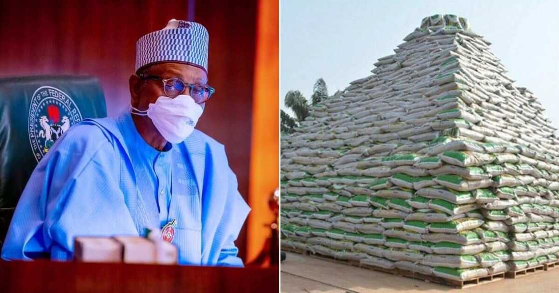 Farmers begs Buhari for help CBN Farmers begs Buhari for help CBN