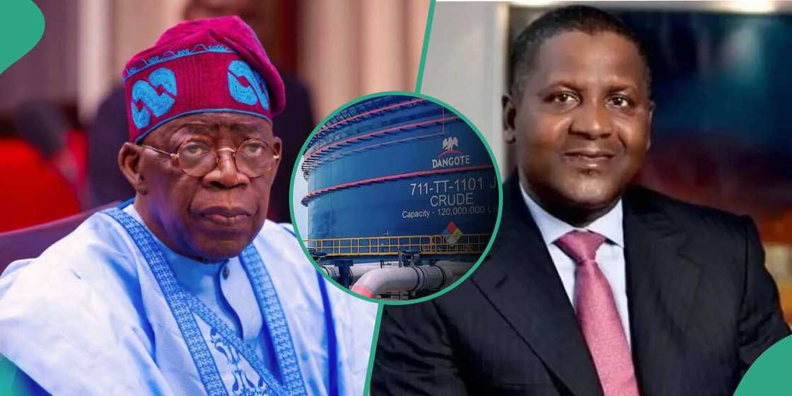 Dangote, Tinubu