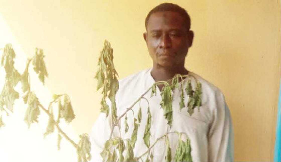 Tashin hankali: Ladani ya bawa makwabcinsa zakami ya sha ya mutu Tashin hankali: Ladani ya bawa makwabcinsa zakami ya sha ya mutu