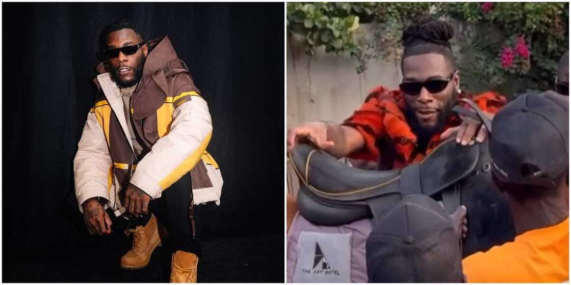 Burna Boy, Burna Boy about to ride a horse Burna Boy, Burna Boy about to ride a horse