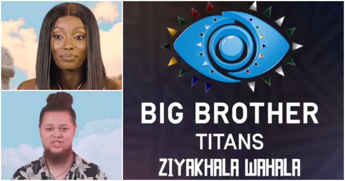 Big Brother Titans.