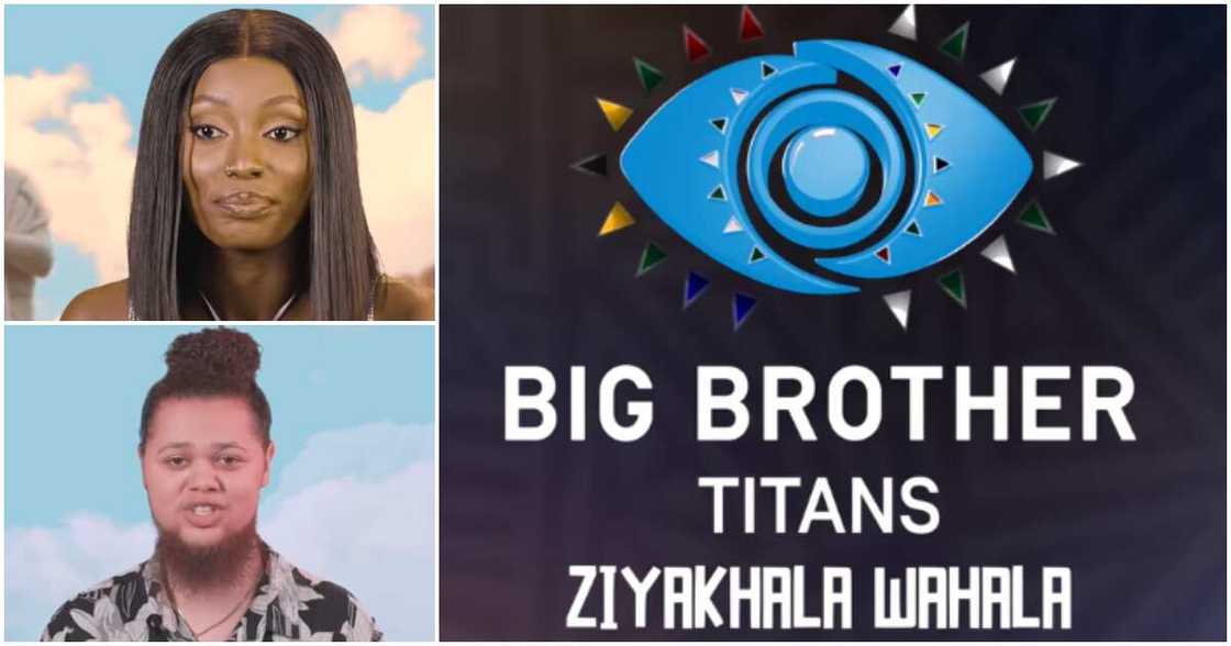 Big Brother Titans. Big Brother Titans.