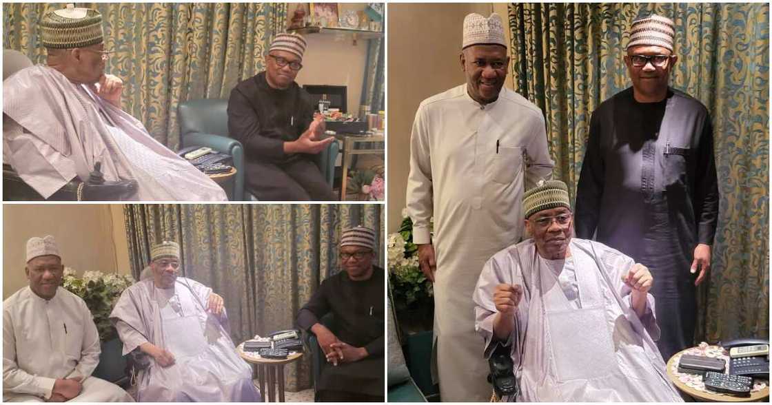 Labour Party (LP), Peter Obi, 2023 elections, Ibrahim Badamosi Babangida, Yusuf Datti Baba-Ahmed, Minna Labour Party (LP), Peter Obi, 2023 elections, Ibrahim Badamosi Babangida, Yusuf Datti Baba-Ahmed, Minna