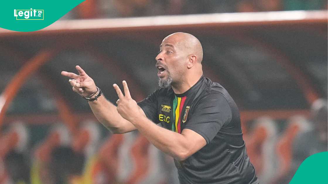 Eric Chelle recently spoke about managing the Super Eagles' top players, including Victor Osimhen and Ademola Lookman. Eric Chelle recently spoke about managing the Super Eagles' top players, including Victor Osimhen and Ademola Lookman.