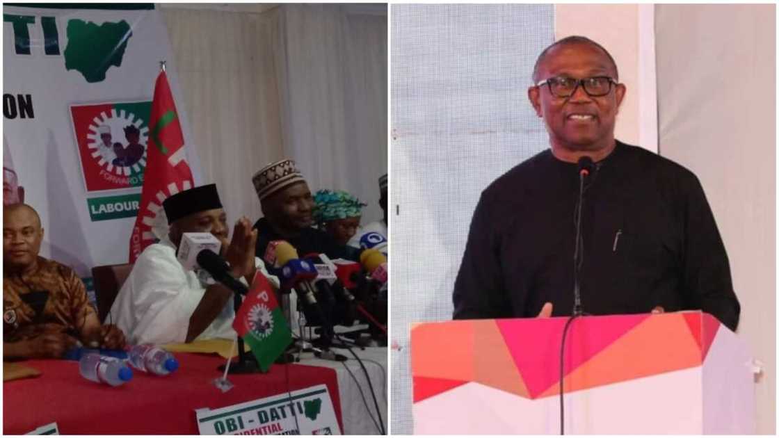 Peter Obi/Doyin Okupe/Labour Party Presidential Campaign Council List Peter Obi/Doyin Okupe/Labour Party Presidential Campaign Council List