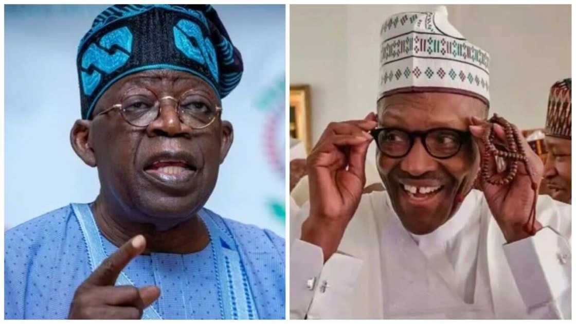 Muhammadu Buhari, Bola Tinubu, APC, Betrayal, 2023 presidential election Muhammadu Buhari, Bola Tinubu, APC, Betrayal, 2023 presidential election