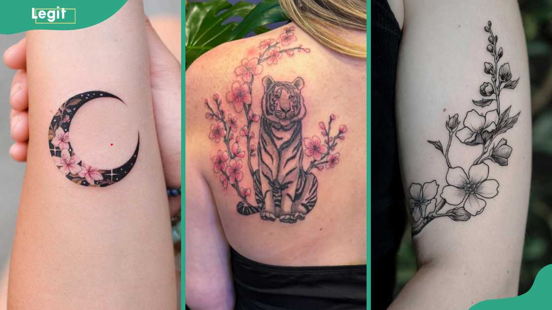 Crescent cherry blossom (L), Cherry blossom and tiger (C), and Black and white cherry blossom tattoos (R) Crescent cherry blossom (L), Cherry blossom and tiger (C), and Black and white cherry blossom tattoos (R)