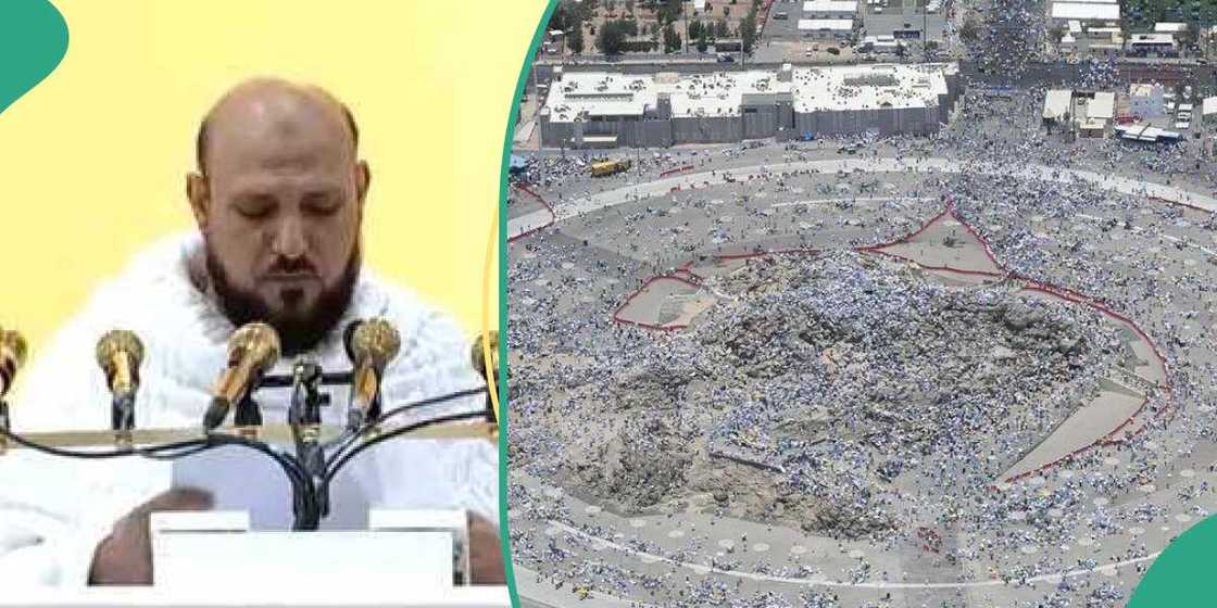 Arafa 2024 Arafa 2024