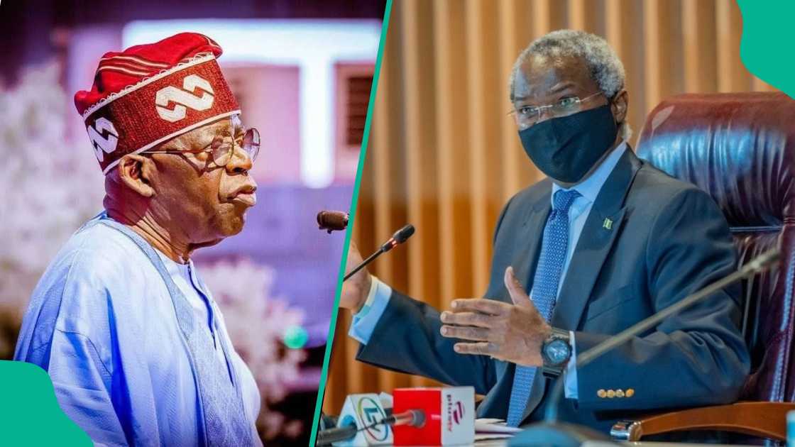 Laolu Akande, a former presidential aide, has explained why the former governor of Lagos state, Babatunde Fashola, was not in the administration of President Bola Tinubu.
