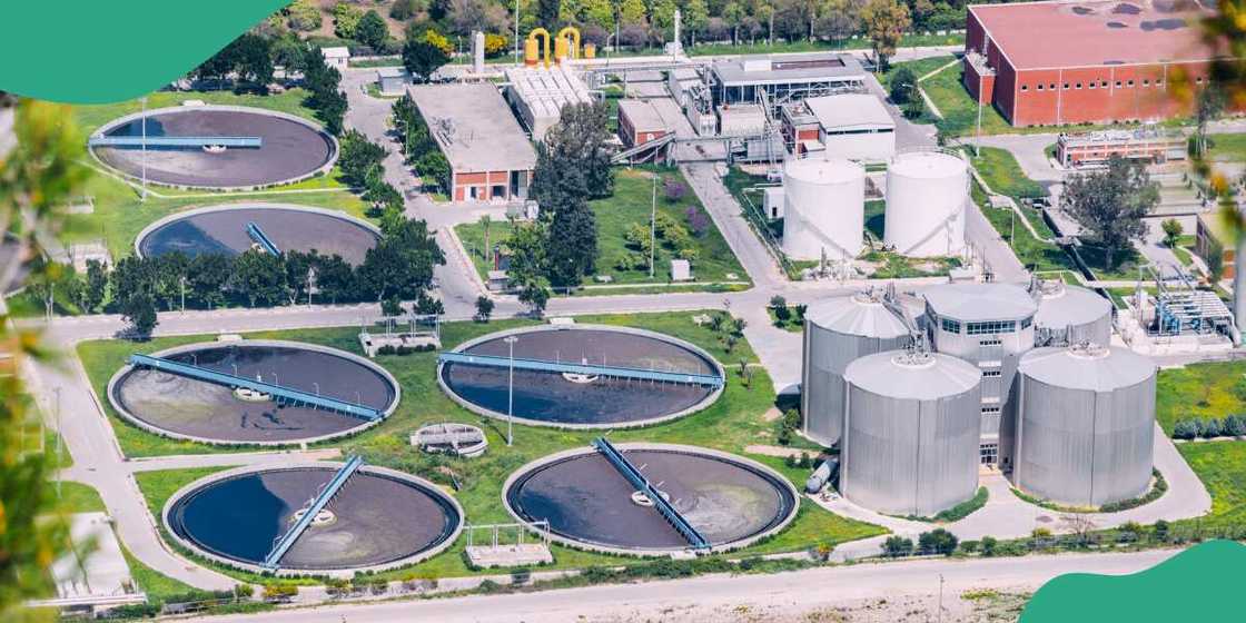 Za a gidan cibiyoyin tara madarar shanu a Kano. Za a gidan cibiyoyin tara madarar shanu a Kano.