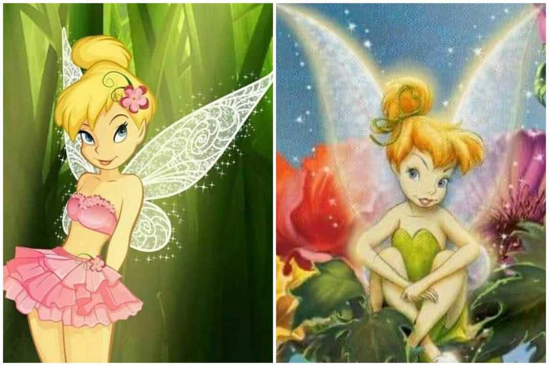 all the Tinker Bell fairies all the Tinker Bell fairies
