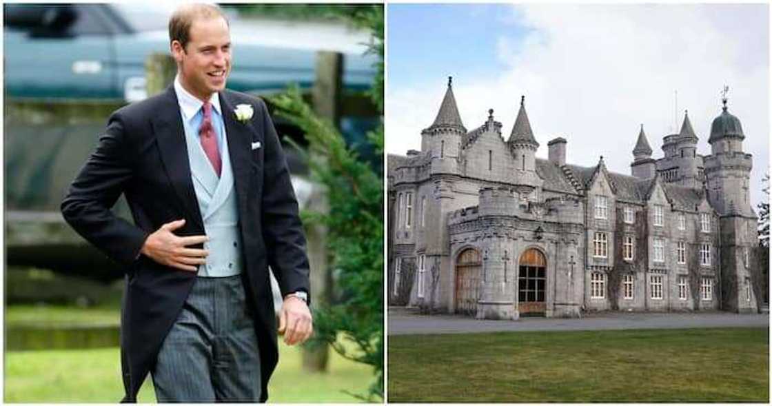 Yarima Williams Yarima Williams