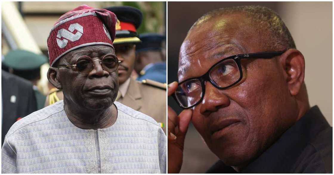 Peter Obi news/Bola Tinubu news/Tribunal update Peter Obi news/Bola Tinubu news/Tribunal update