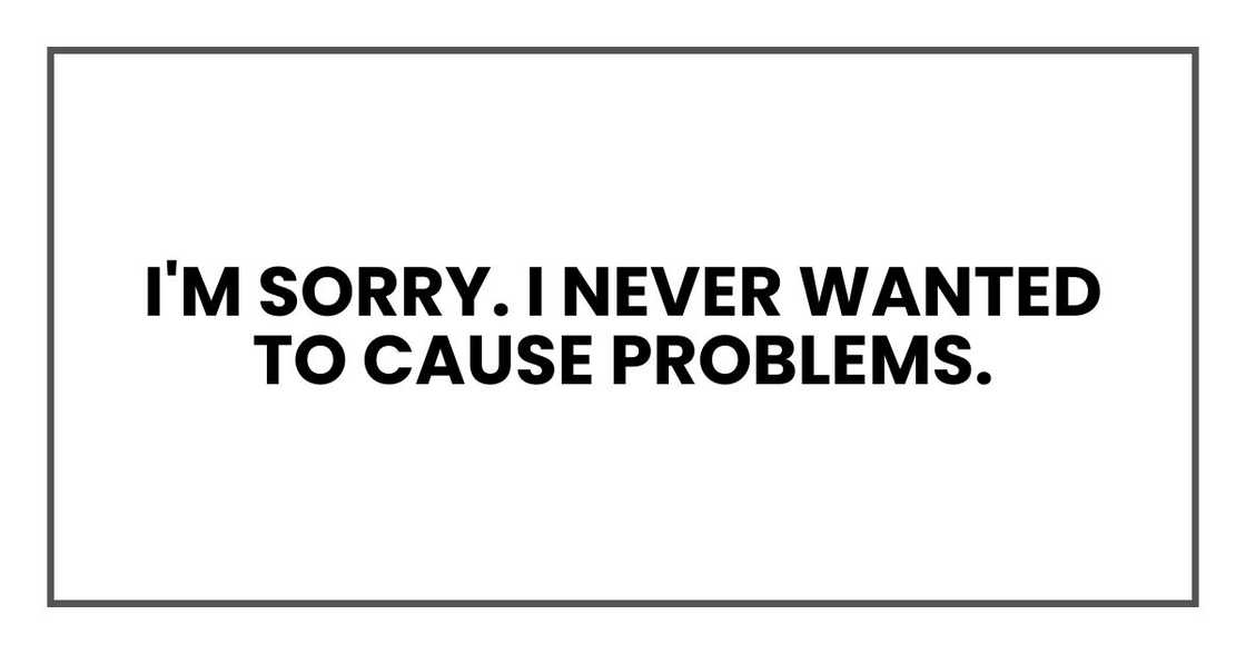I'm sorry. I never wanted to cause problems.