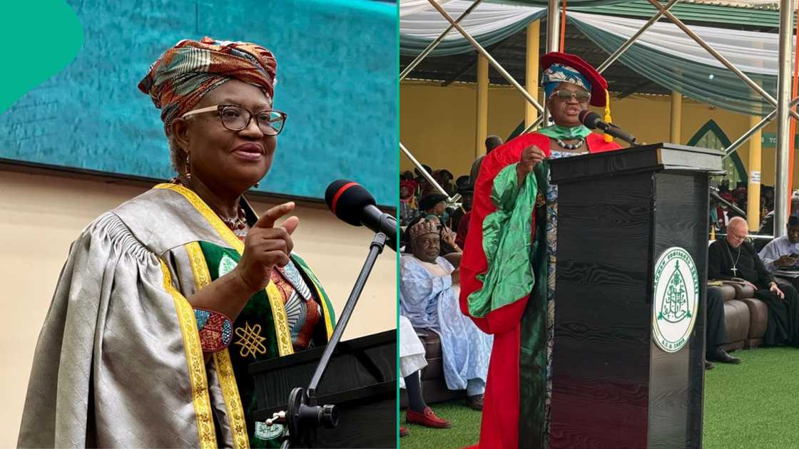 Dr Ngozi Okonjo-Iweala praises Abdullahi Haruna Haruspice's article on girl-child education in northern Nigeria, sparking vital discussions on gender and education. Dr Ngozi Okonjo-Iweala praises Abdullahi Haruna Haruspice's article on girl-child education in northern Nigeria, sparking vital discussions on gender and education.