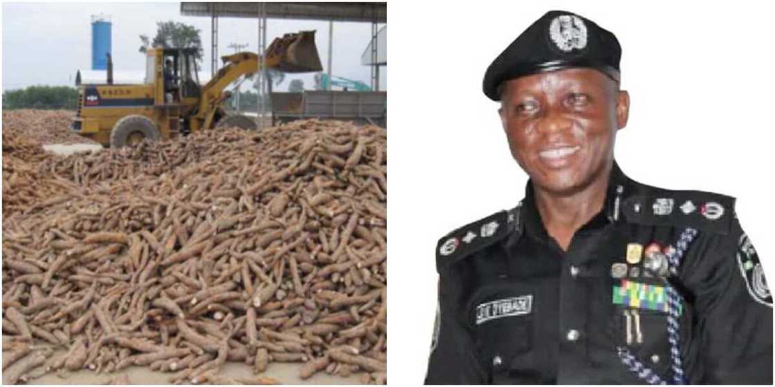 Adeleye Oyebade Adeleye Oyebade