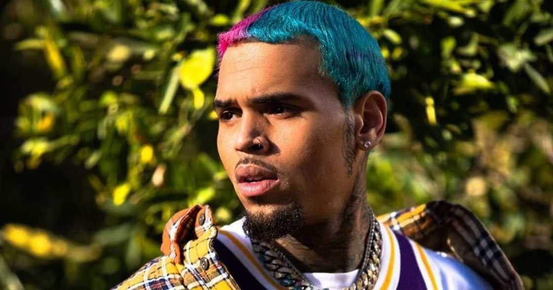 Chris Brown's 32nd Birthday Party Broken Up by LA Police Force Chris Brown's 32nd Birthday Party Broken Up by LA Police Force