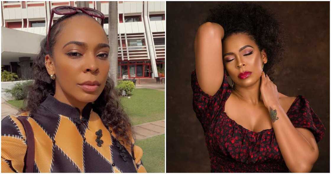 tboss, ladies, photos tboss, ladies, photos