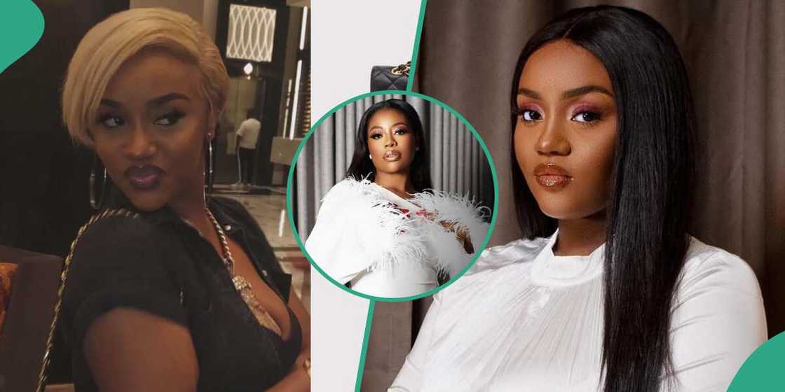 Price of Chioma's outfit to club surface online. Price of Chioma's outfit to club surface online.