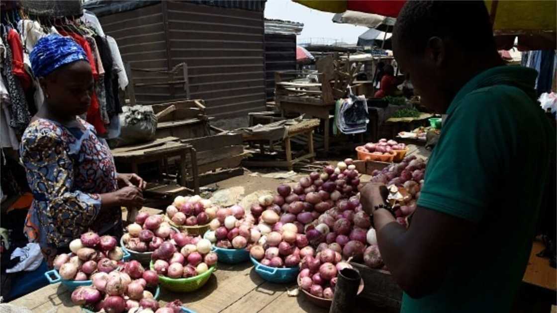 Insecurity: Onion Producers Suspend Supply to Southeast Insecurity: Onion Producers Suspend Supply to Southeast