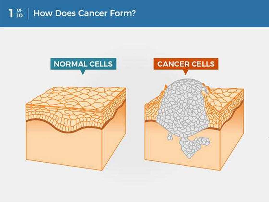 Laptop radiation does not cause skin cancer but it can contribute to male infertility Laptop radiation does not cause skin cancer but it can contribute to male infertility