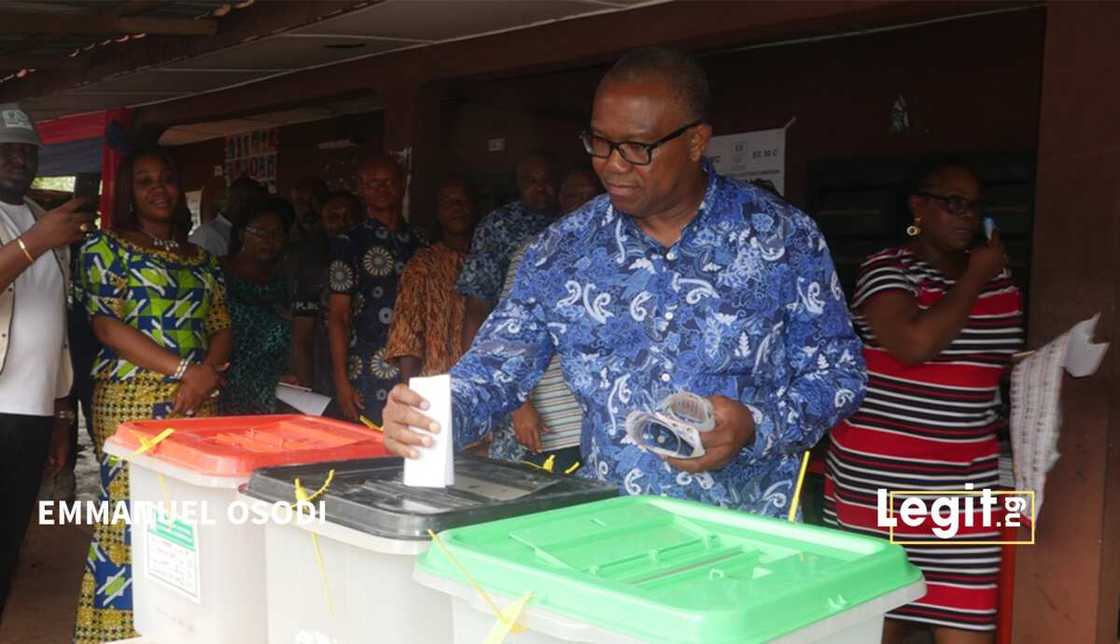Peter Obi, ASUU, ASUU strike, Muhammadu Buhari, Federal Government, Labour Party, Nigerian students, Nigerian youths Peter Obi, ASUU, ASUU strike, Muhammadu Buhari, Federal Government, Labour Party, Nigerian students, Nigerian youths