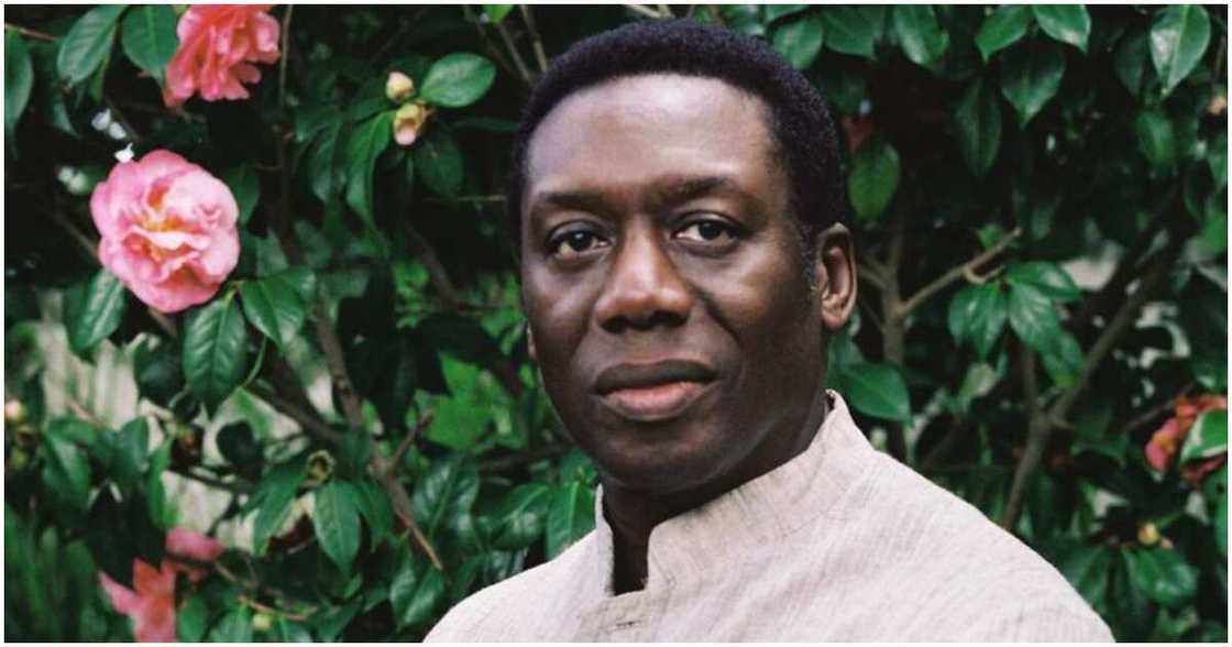Hakeem Kae-Kazim, Hollywood, Nigeria Hakeem Kae-Kazim, Hollywood, Nigeria