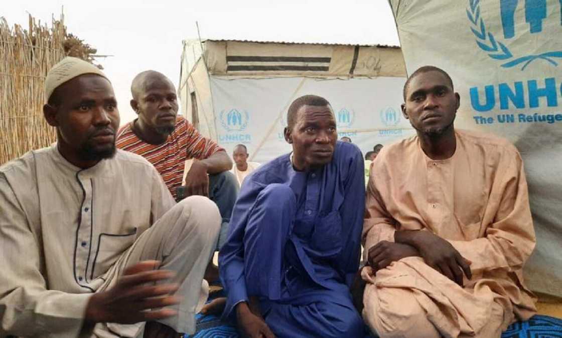 Borno: 'Yan gudun hijira sun koka da rashin samu abinci