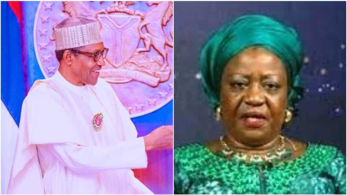 President Muhammadu Buhari/Lauretta Onochie/APC/Senate/NDDC/INEC President Muhammadu Buhari/Lauretta Onochie/APC/Senate/NDDC/INEC