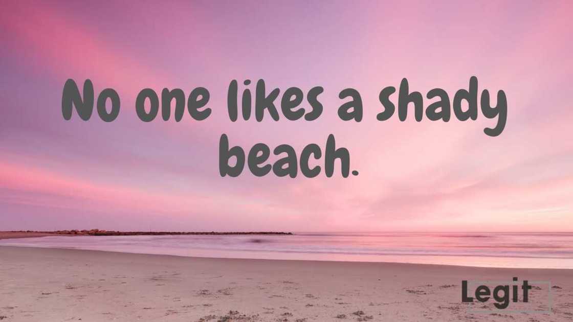 beach puns beach puns