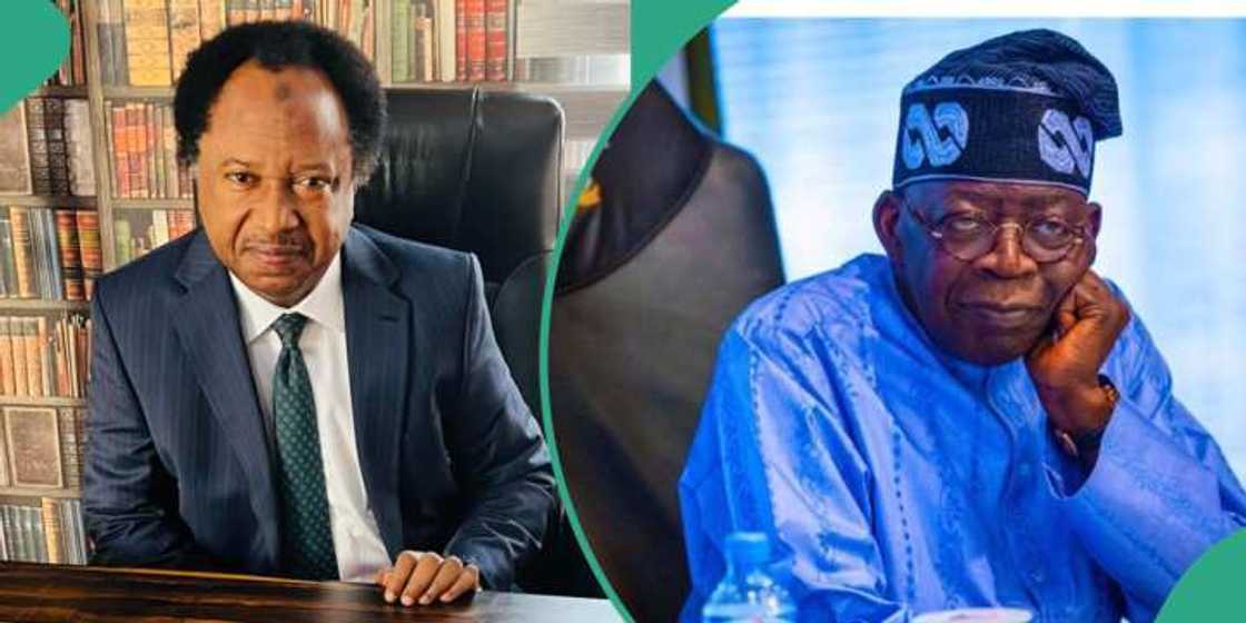 Shehu Sani da Tinubu Shehu Sani da Tinubu