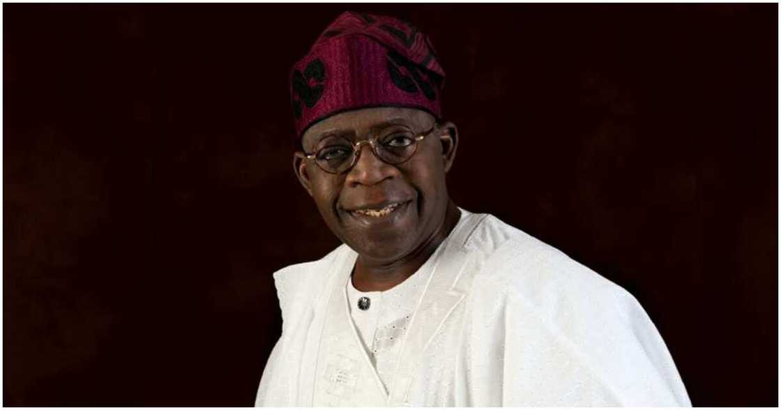 Tinubu/Cabal/President-elect/Asiwaju support group