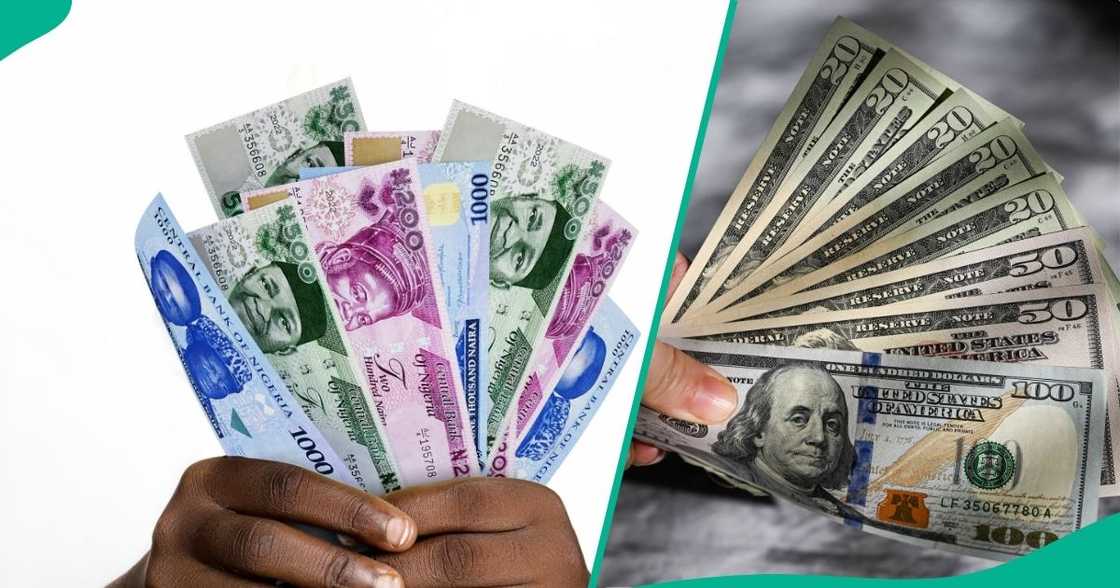Nigeria's naira crashes despite dollar's weak stance Nigeria's naira crashes despite dollar's weak stance