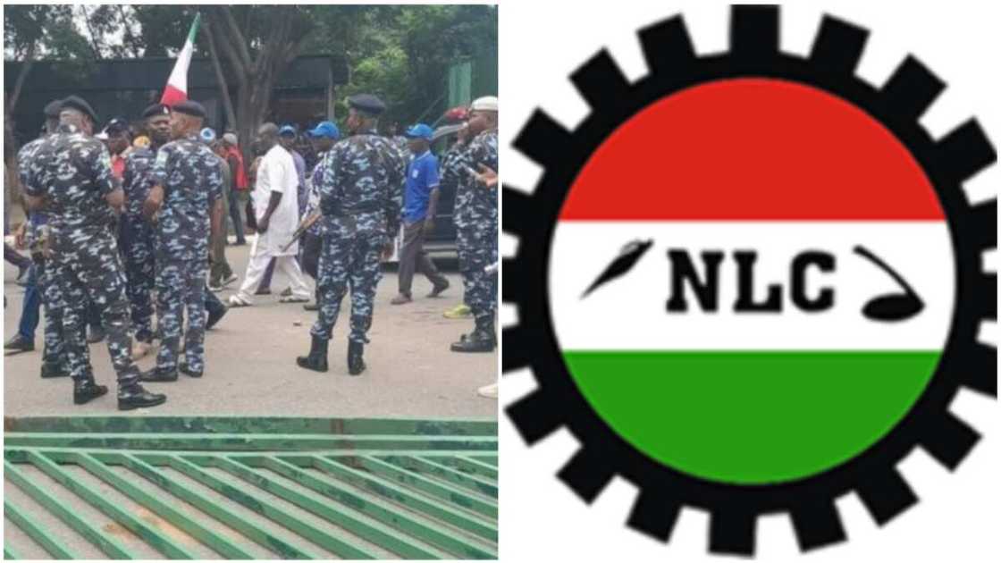 President Bola Tinubu/NLC/Joe Ajaero/National Assembly President Bola Tinubu/NLC/Joe Ajaero/National Assembly