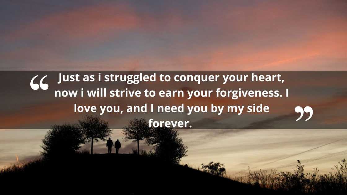 Heart touching apology messages Heart touching apology messages