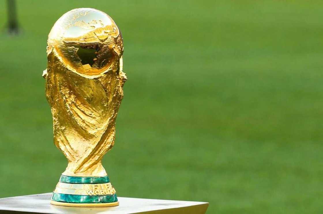 FIFA World Cup Qatar 2022 Team Facts: Will an African Team Win it? - By MSport FIFA World Cup Qatar 2022 Team Facts: Will an African Team Win it? - By MSport